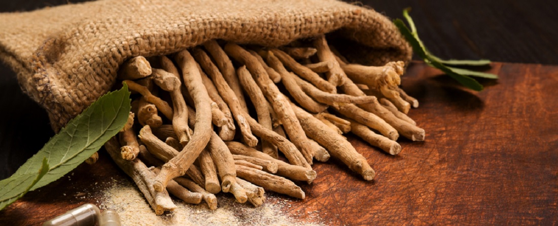 De meest effectieve Ashwagandha-supplementen in 2024 – een kopersgids